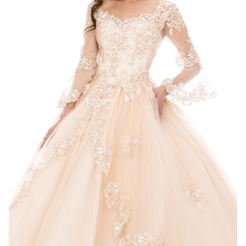 Elegant Lace Embellished Gown